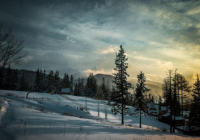 Apartamenty Toporowa Cyrhla Zakopane